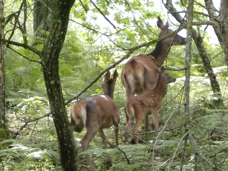 Photo n° 19 of the location