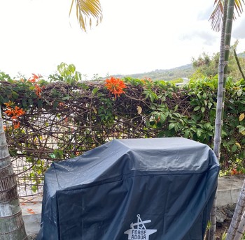 Photo n° 11 de la location