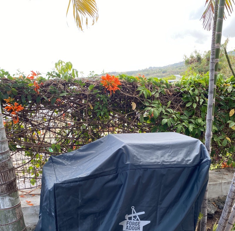 Photo n° 11 de la location