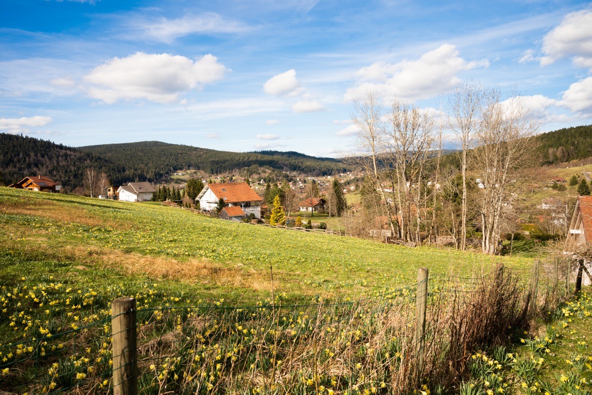 Vue sur la vallée depuis le jardin - Chalet les Ecureuils