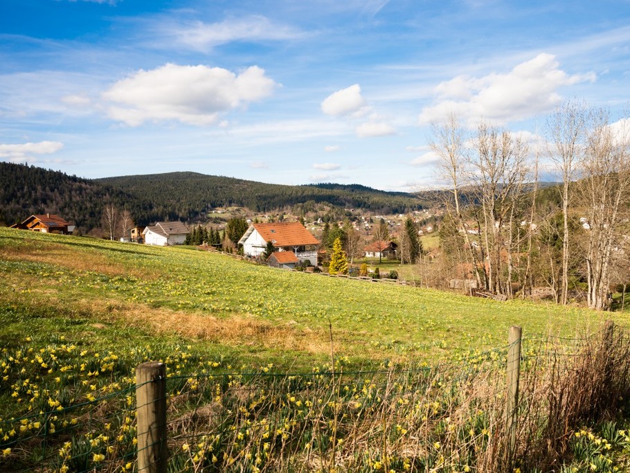 Vue sur la vallée depuis le jardin - Chalet les Ecureuils