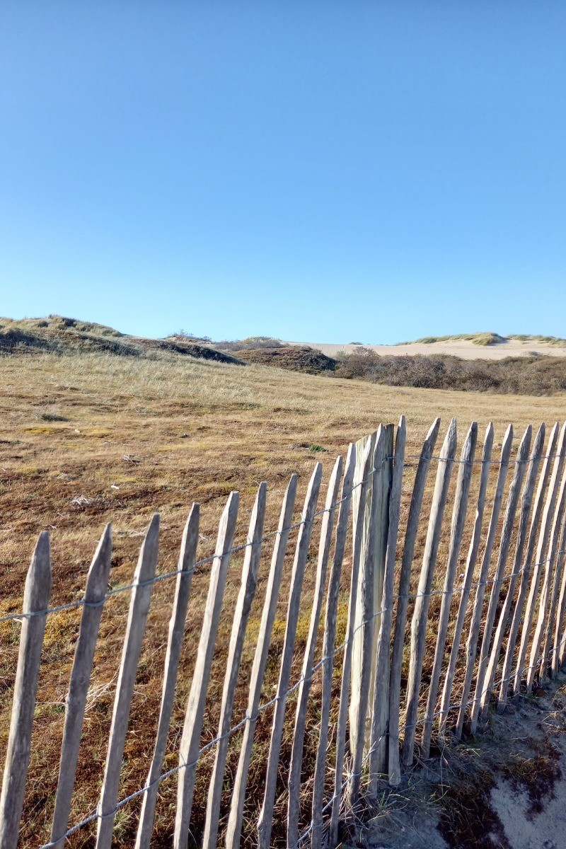 Photo n° 16 of the location