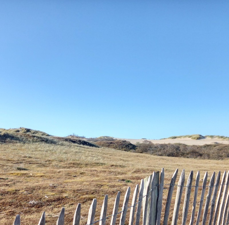 Photo n° 16 of the location