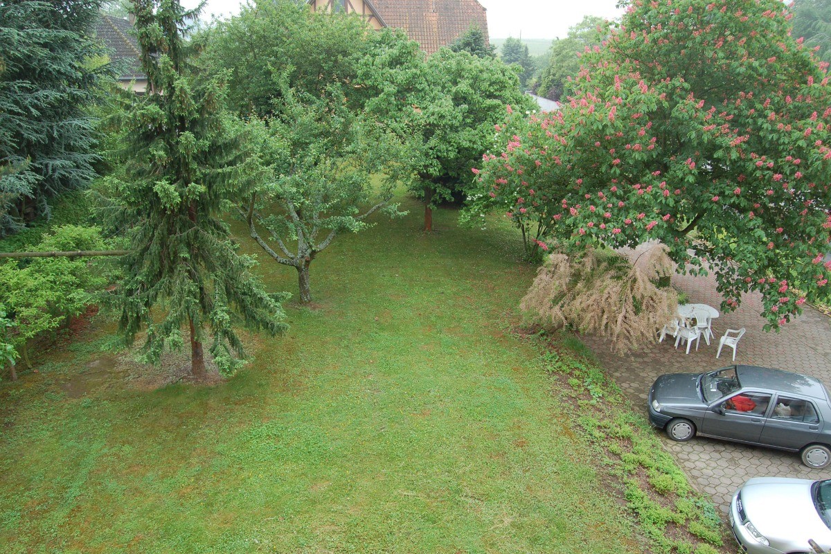 Jardin