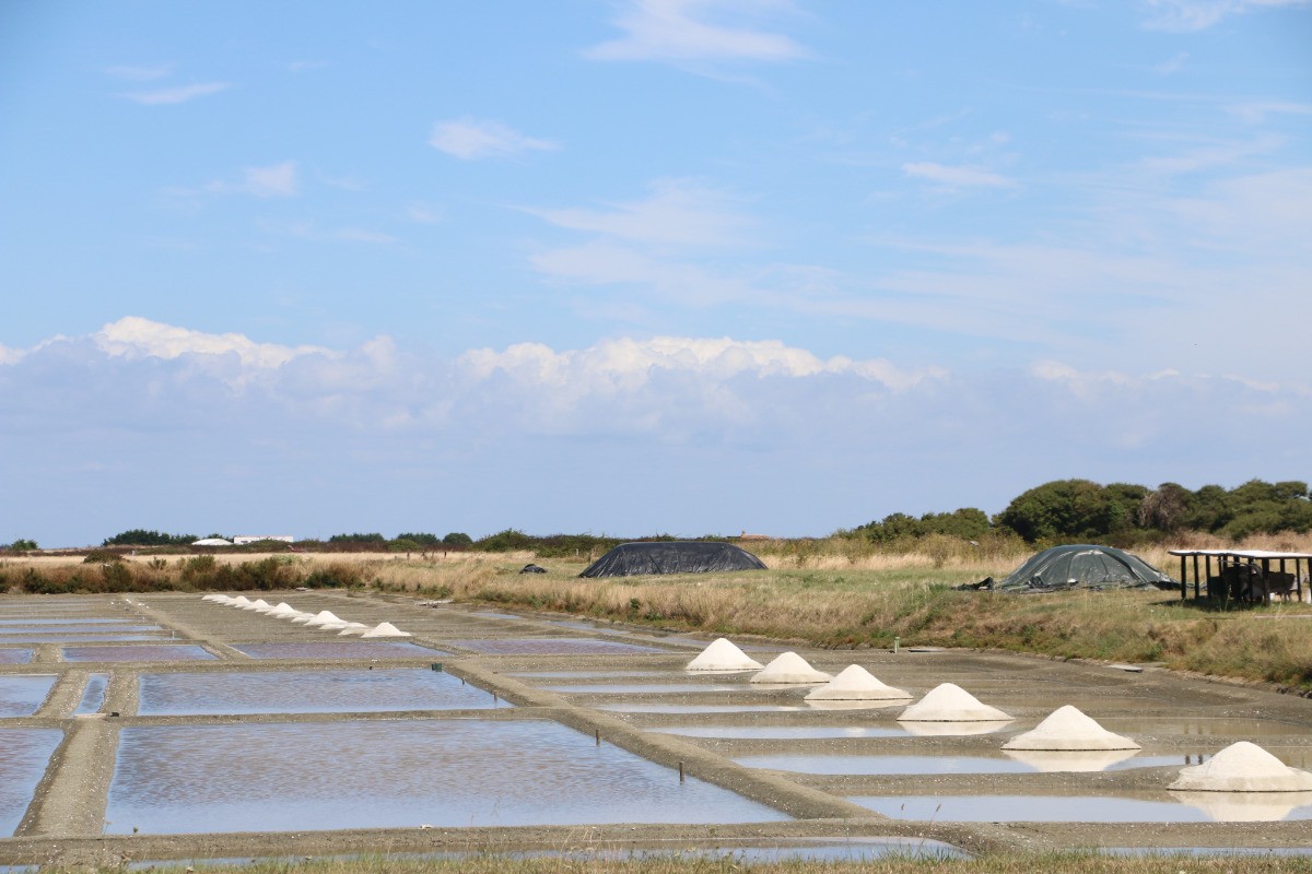 Marais salants