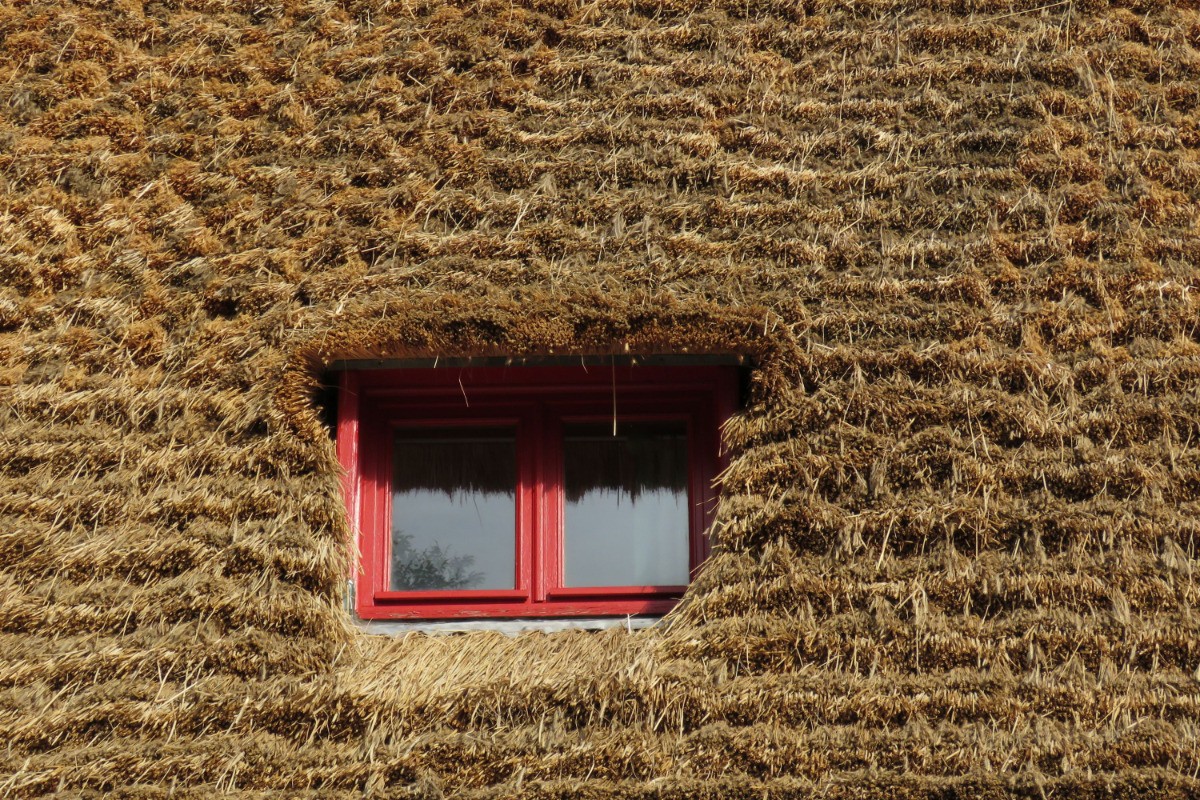 Photo n° 11 of the location