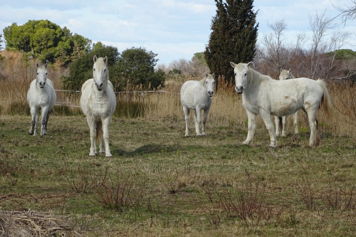 Photo n° 12 of the location