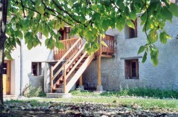 L'ombre délicieuse du grand catalpa du Domaine de la Loge