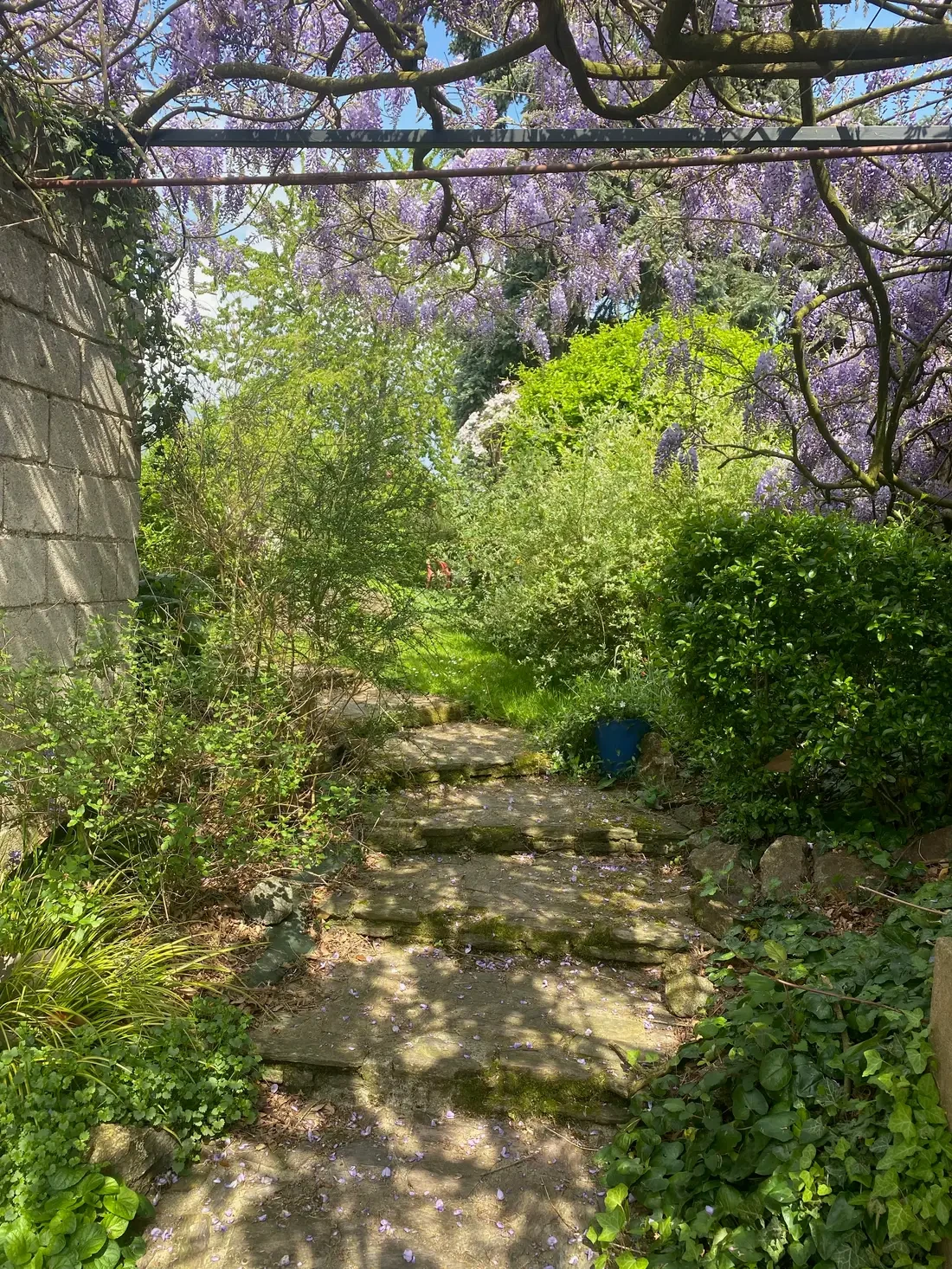 Entrance to the garden and private access to the Green Room
