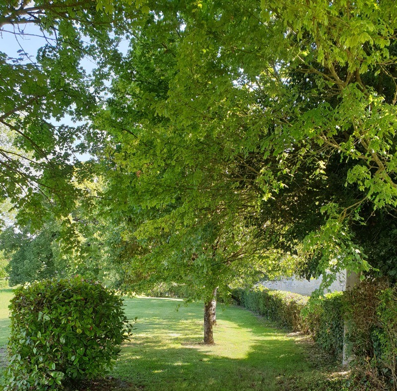 Gite 12personnes Le Bois Dormant à St Jean d'Angély en Charente maritime