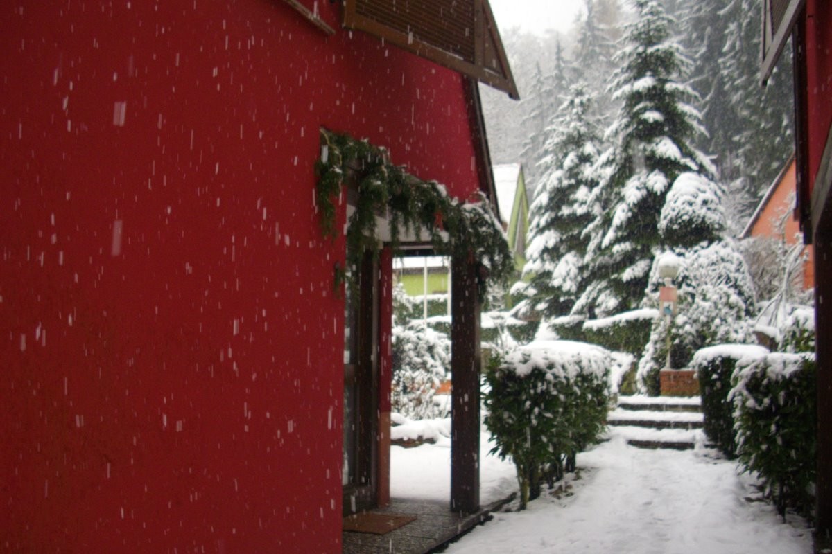 Pavillon Pinot Noir sous la neige