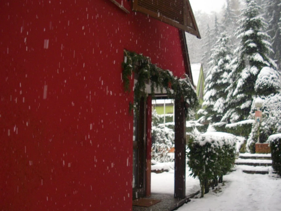 Pavillon Pinot Noir sous la neige