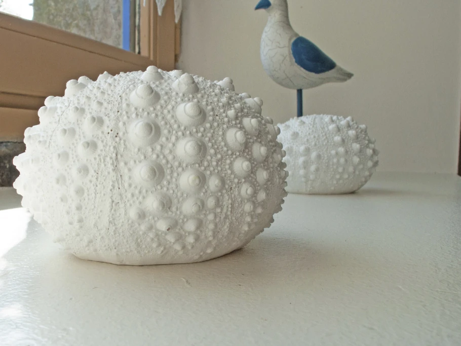 Photo n° 12 de la location