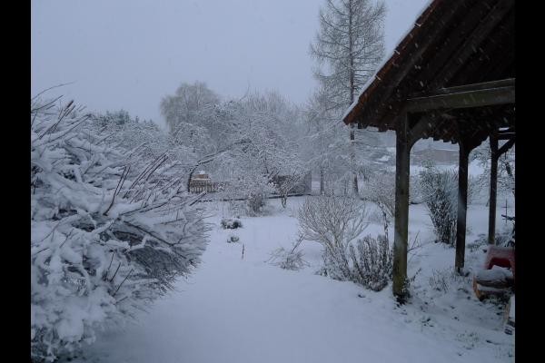 Le jardin sous la neige