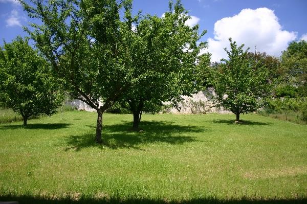 Photo n° 17 de la location