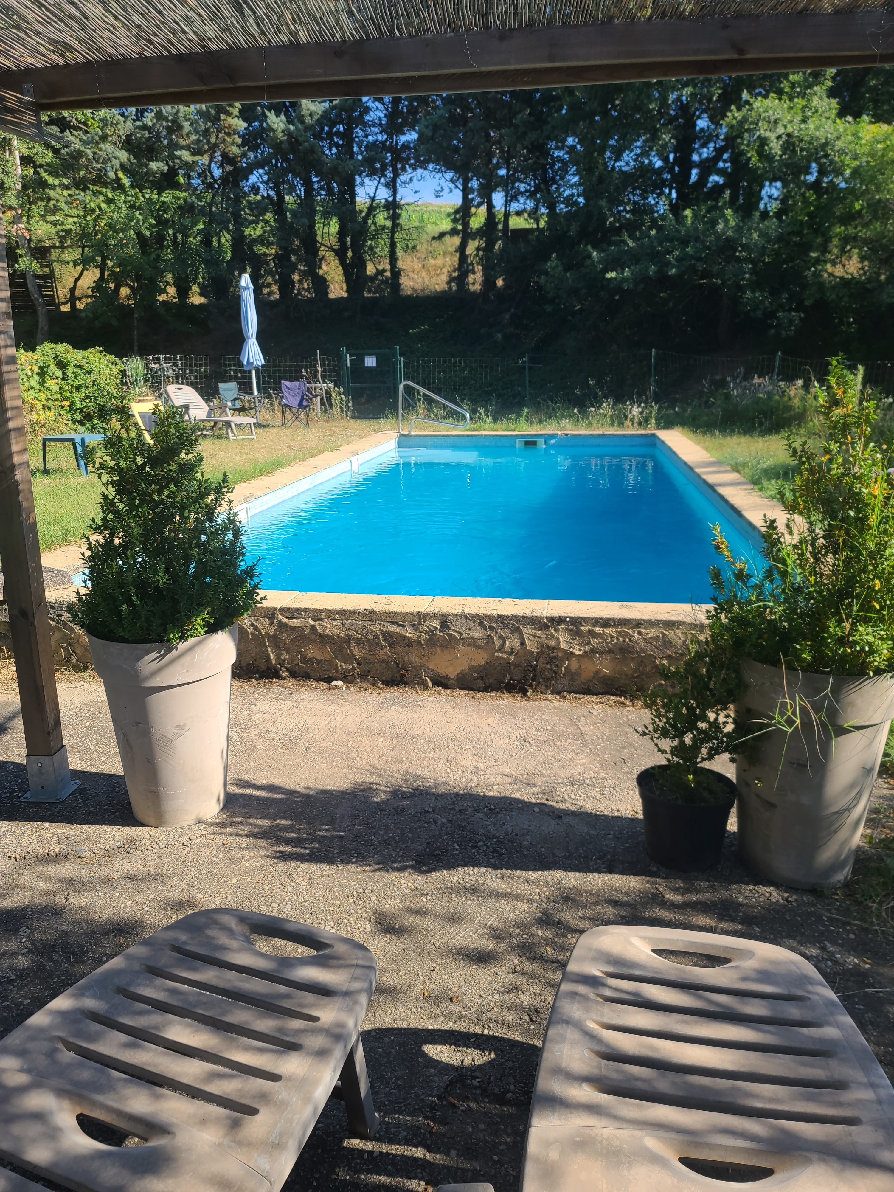 Photo n° 1 de la location