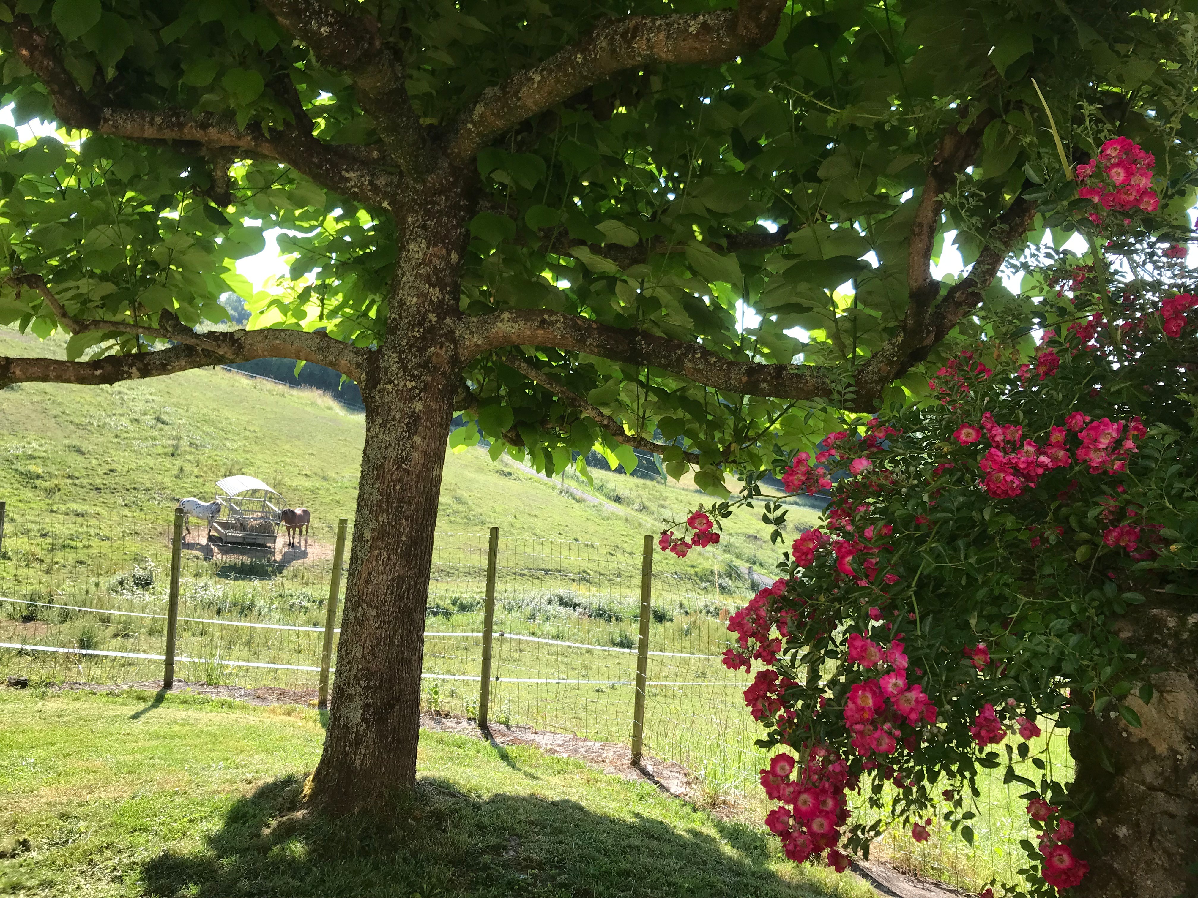 Photo n° 14 of the location