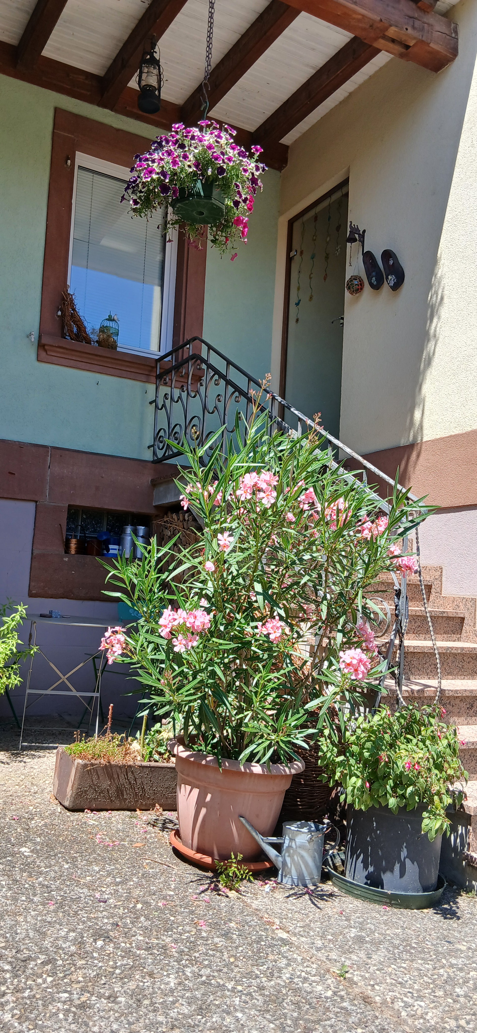 Photo n° 6 de la location