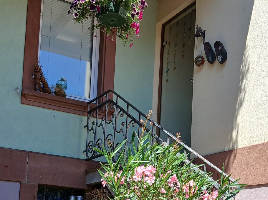 Photo n° 6 de la location