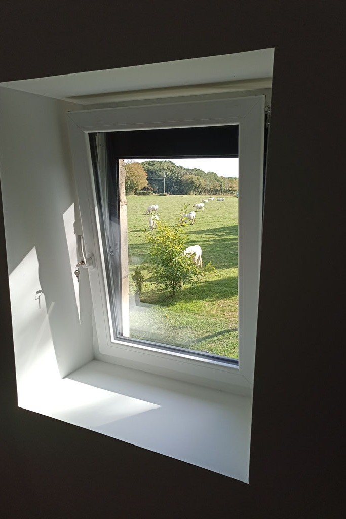 vue de la chambre le grenier de Viktor