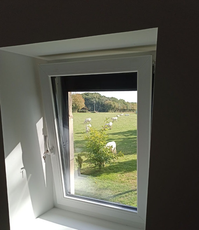 vue de la chambre le grenier de Viktor