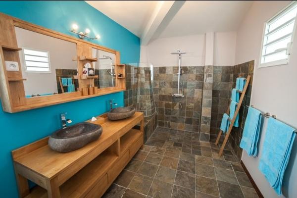 la salle d'eau attenante