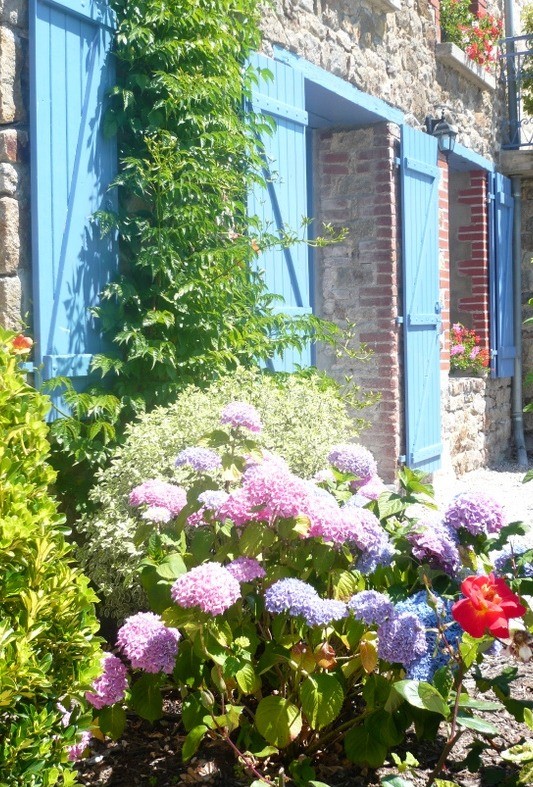 Photo n° 9 de la location