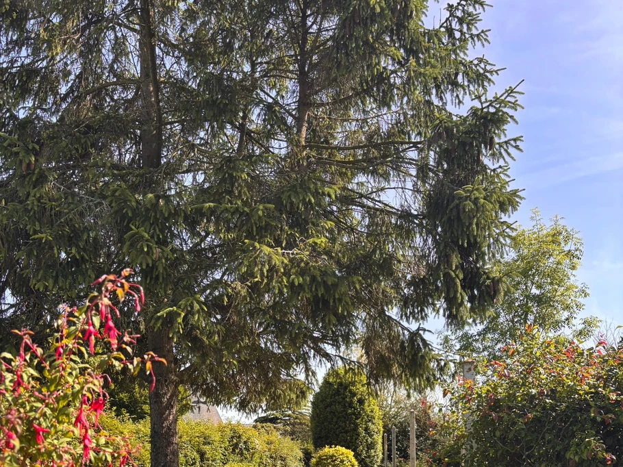 Photo n° 20 de la location