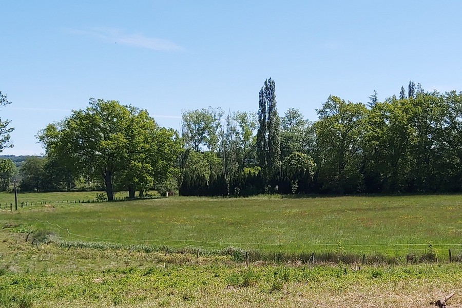 Photo n° 12 de la location