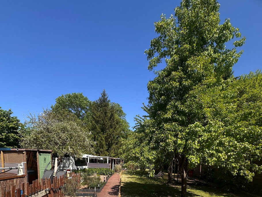 Jardin privatif du Terminusbus - Crèvecoeur le Grand - Oise - Hauts de France