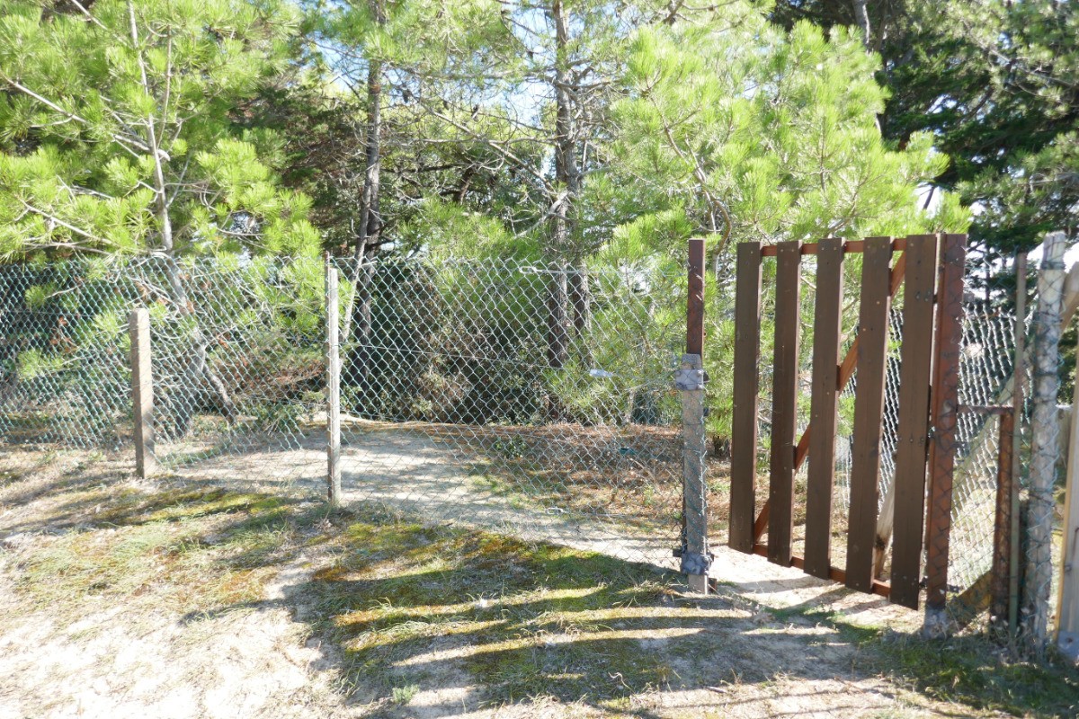 Accès aux dunes depuis le jardin