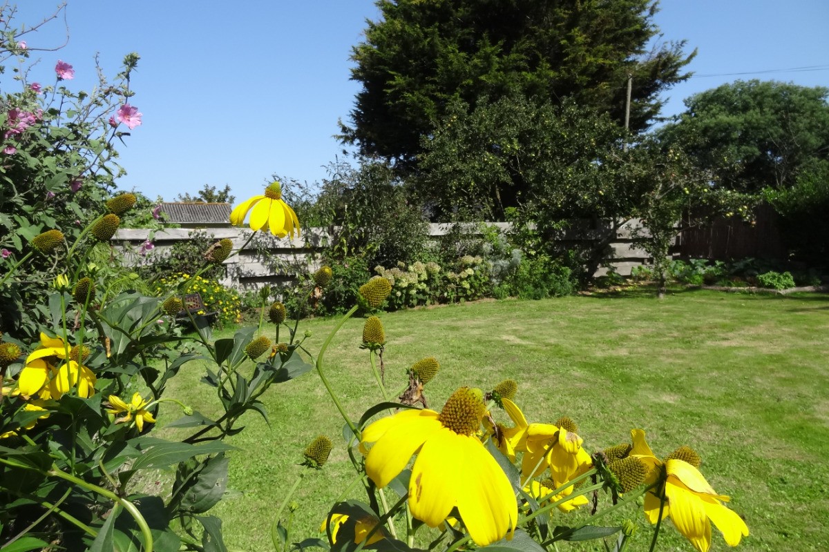 Jacob, Clévacances, location, Plouha, le jardin privatif