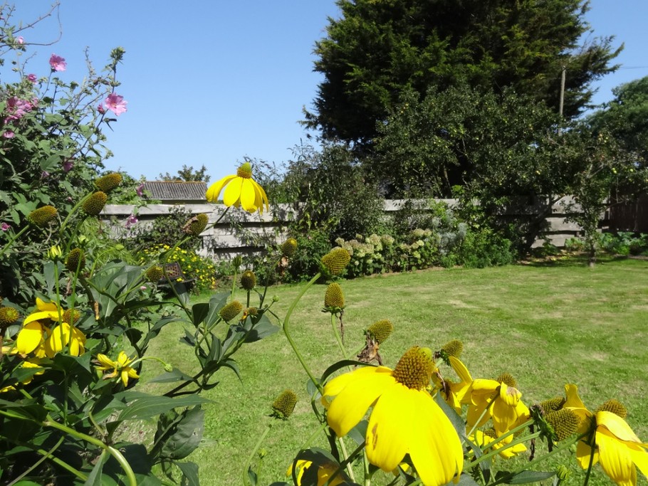 Jacob, Clévacances, location, Plouha, le jardin privatif
