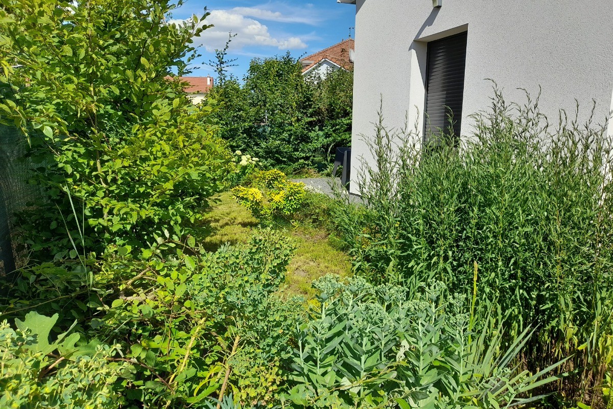 jardin sur le côté