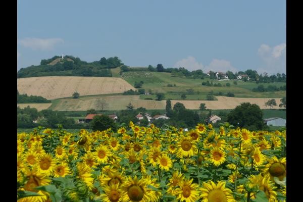 La butte féodale, votre résidence