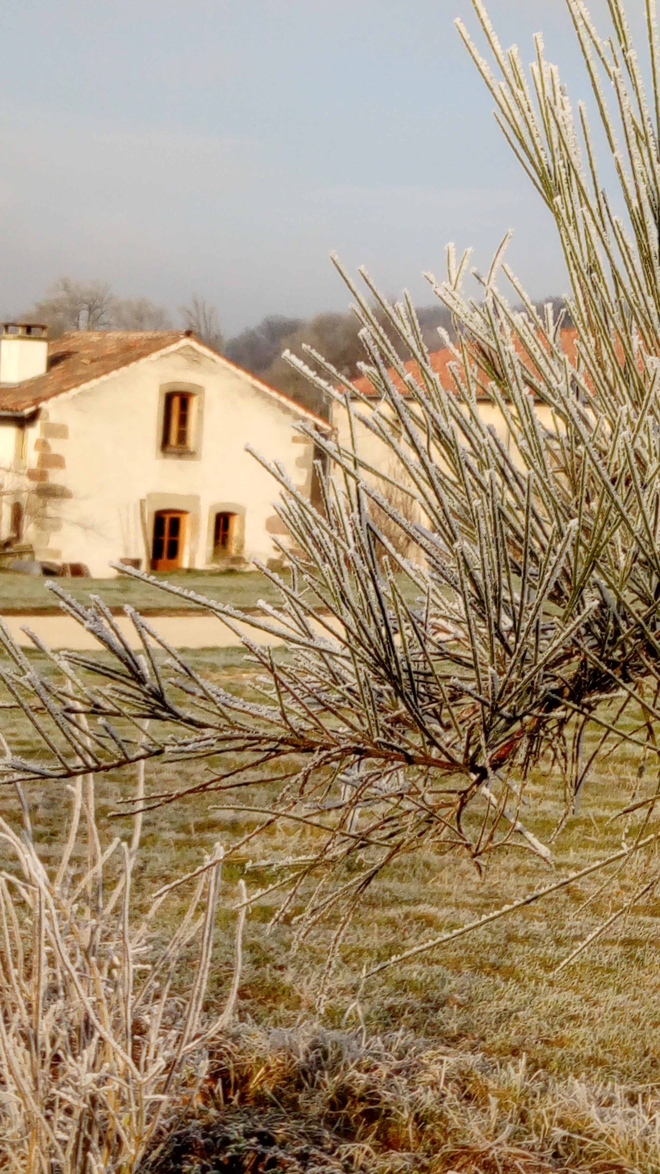 Photo n° 17 de la location