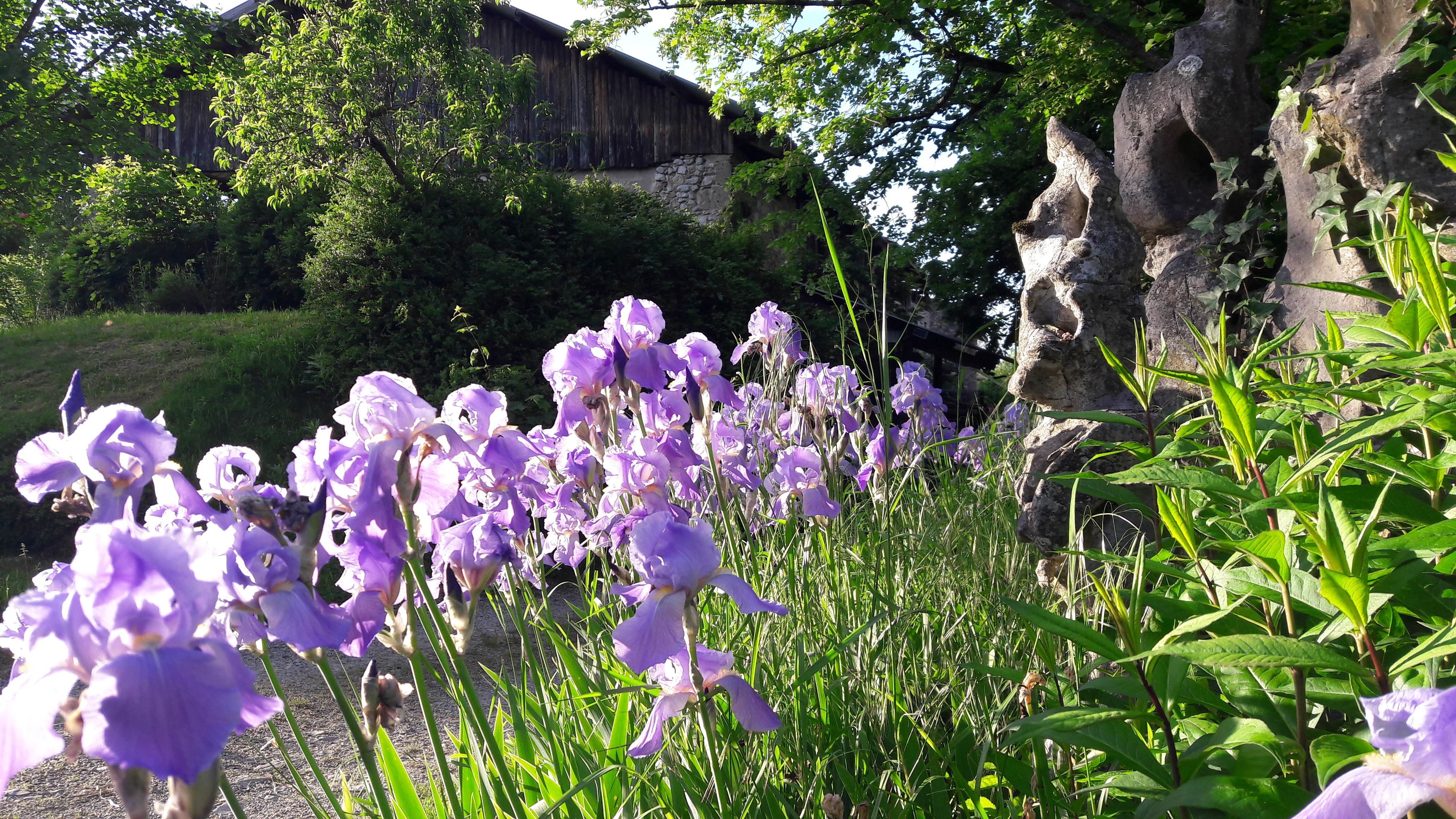 Photo n° 13 of the location