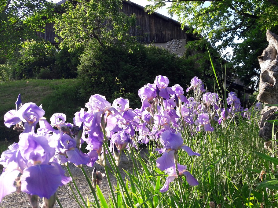 Photo n° 13 of the location