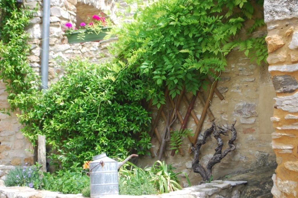 Cour fleurie