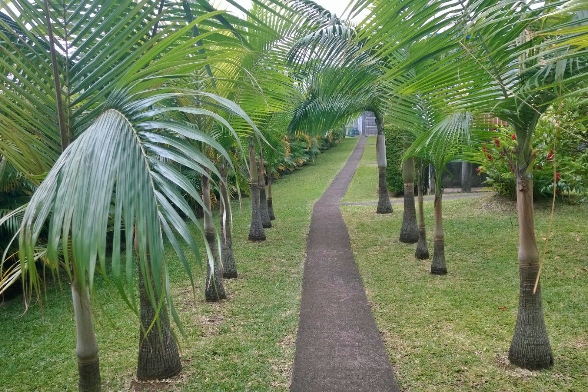 Photo n° 11 de la location