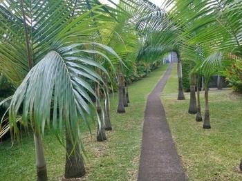 Photo n° 11 of the location