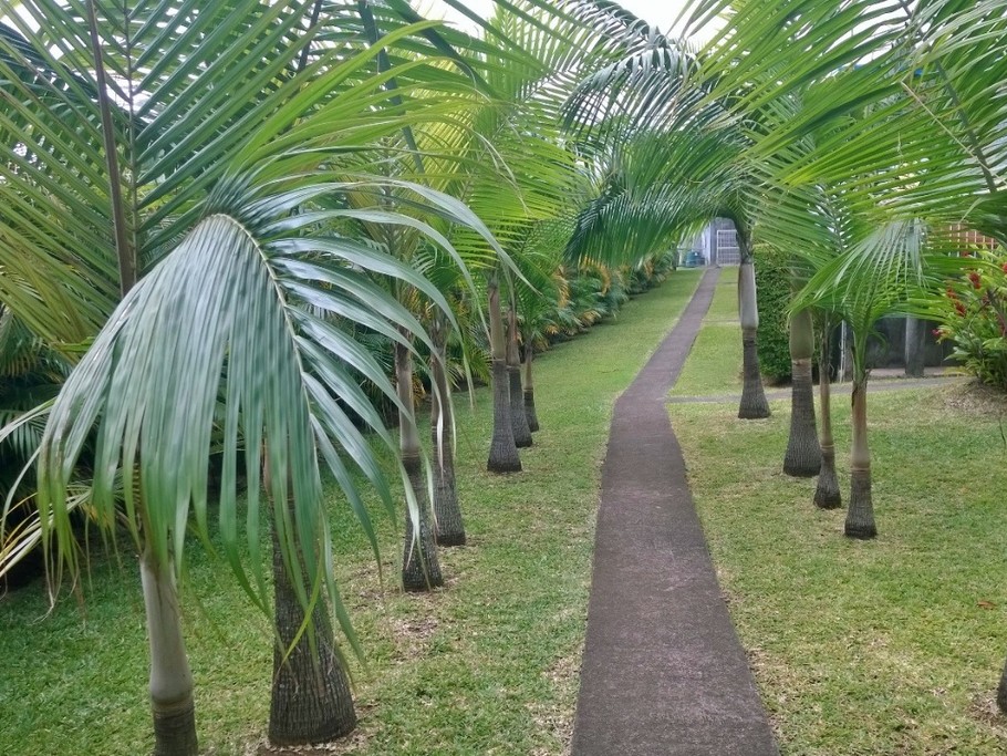 Photo n° 11 of the location
