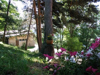 Photo n° 11 de la location