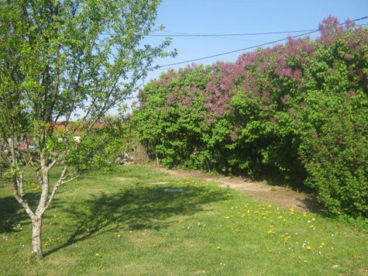 Photo n° 13 of the location