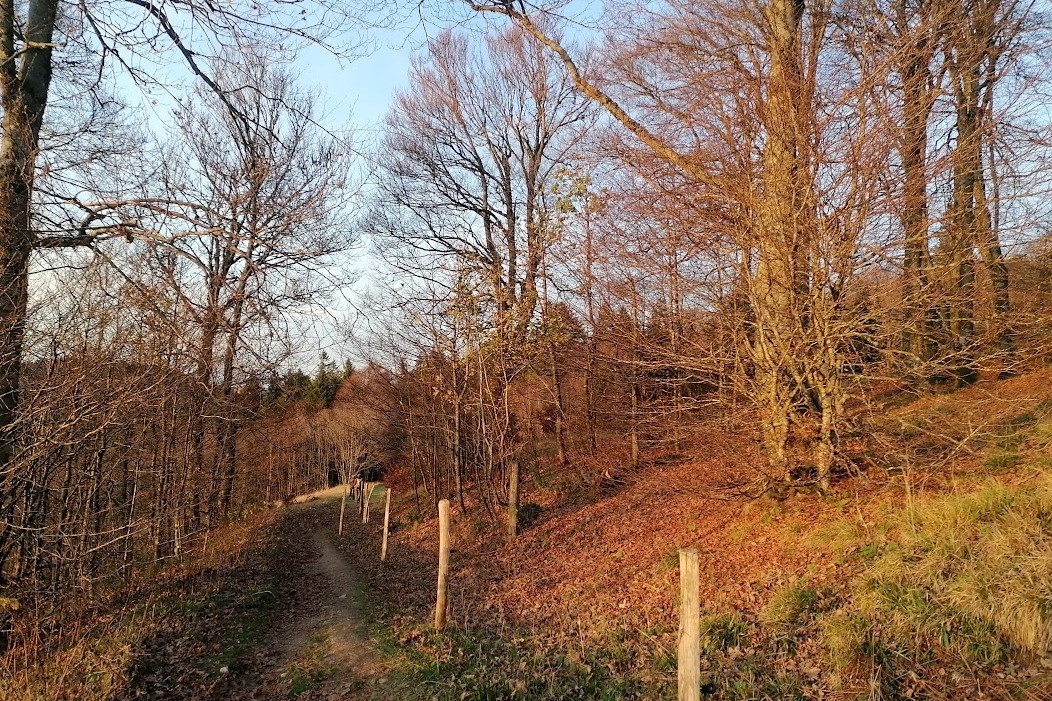 En automne