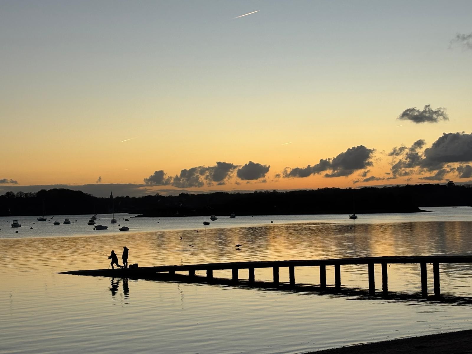 Ponton de la plage du Vallion