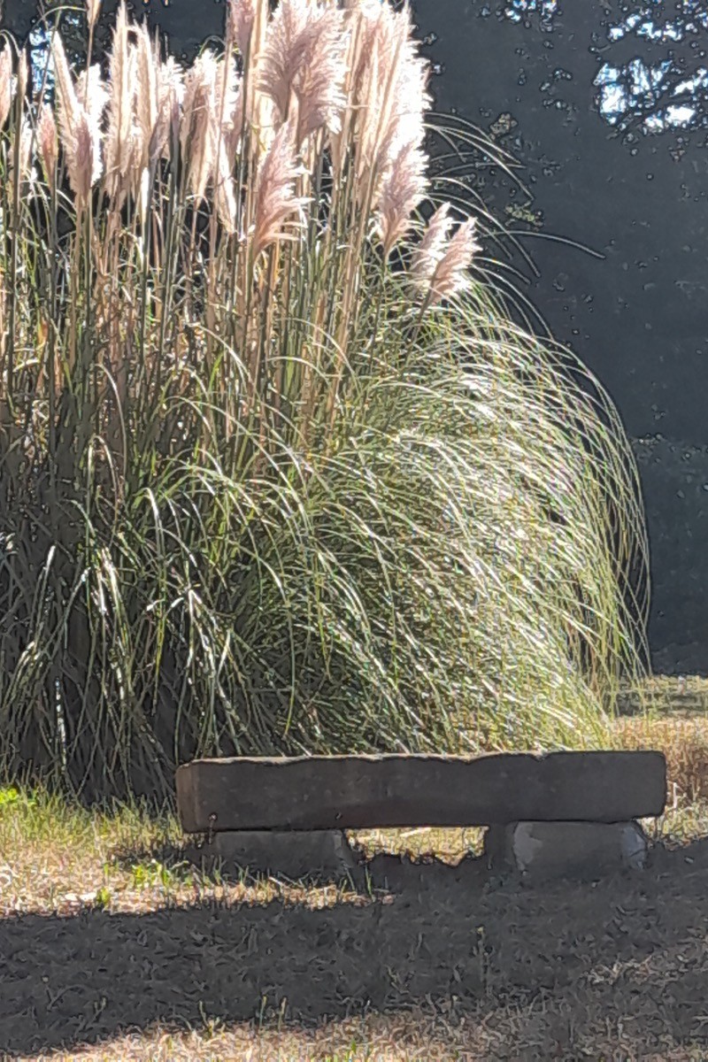 Photo n° 19 de la location