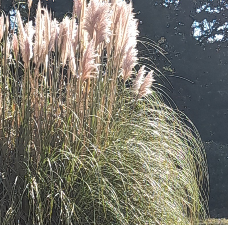 Photo n° 19 de la location