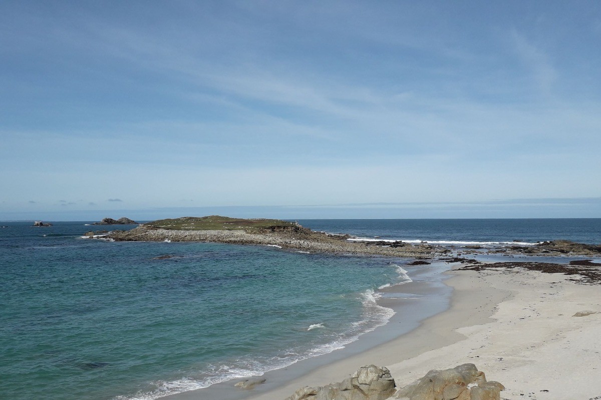 Ile Segal à 150 m