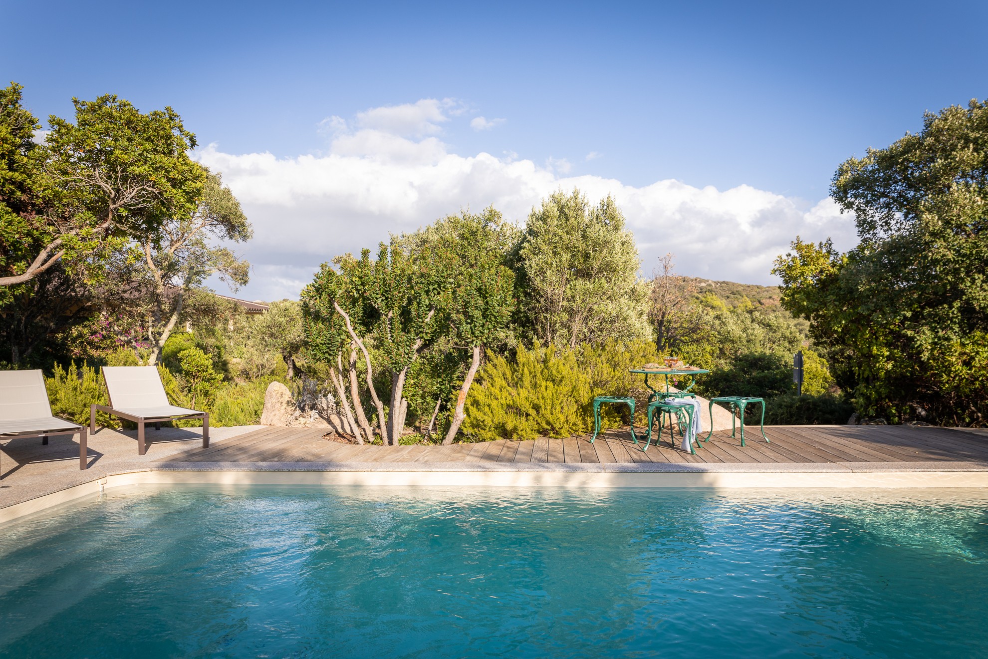 Swimming pool and terrace